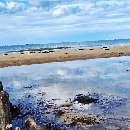 Les Tranquilles - Vue - 50m De La Saint-Come-de-Fresne