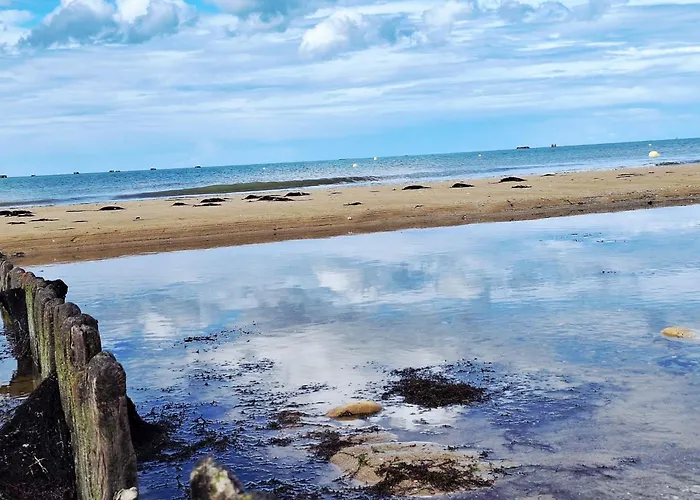 Les Tranquilles - Vue - 50m De La Saint-Côme-de-Fresné